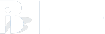 BInfo.me, Business Intelligence Consulting